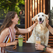 ペット同伴カフェ